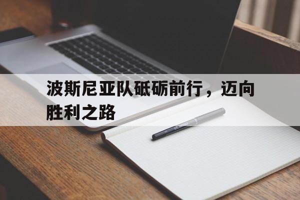 包含波斯尼亚队砥砺前行，迈向胜利之路的词条