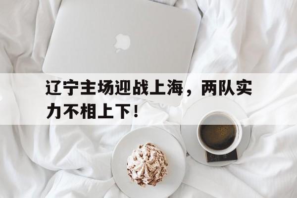 辽宁主场迎战上海，两队实力不相上下！的简单介绍